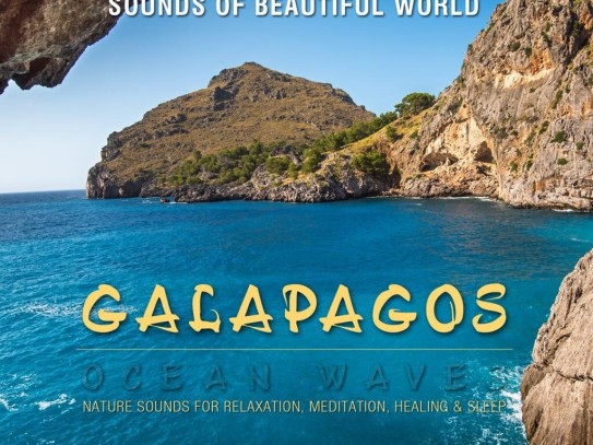 When is the Best Time to Travel to the Galapagos: Unlocking the Secrets of This Enchanting Archipelago