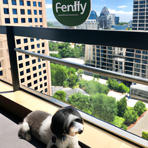 pet friendly hotels buckhead atlanta